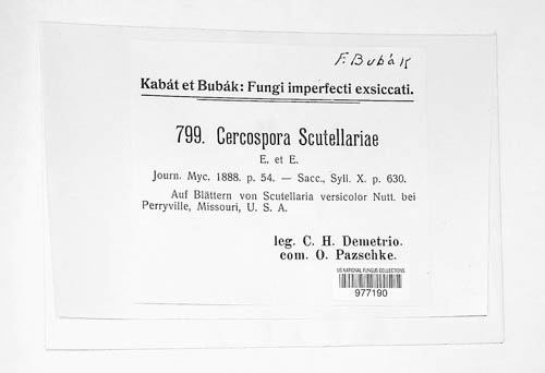 Cercospora scutellariae image